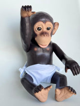 Cargar imagen en el visor de la galería, Baby Monkey