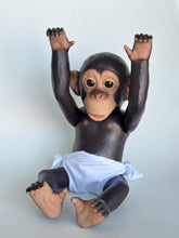 Cargar imagen en el visor de la galería, Baby Monkey