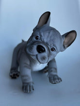 Cargar imagen en el visor de la galería, Mini Dog