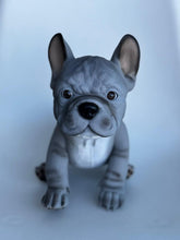 Cargar imagen en el visor de la galería, Mini Dog
