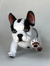 Cargar imagen en el visor de la galería, Mini Dog
